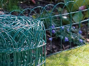 Border Fence