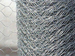 Hexagonal Wire Netting